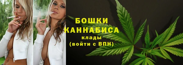 Альфа ПВП Осинники