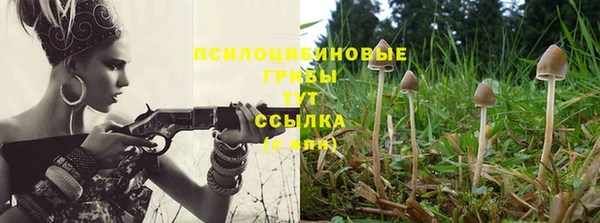 Альфа ПВП Осинники